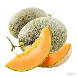 哈密瓜蓉產(chǎn)品綜合指南 價格、型號、圖片及預(yù)包裝食品批發(fā)與零售服務(wù)